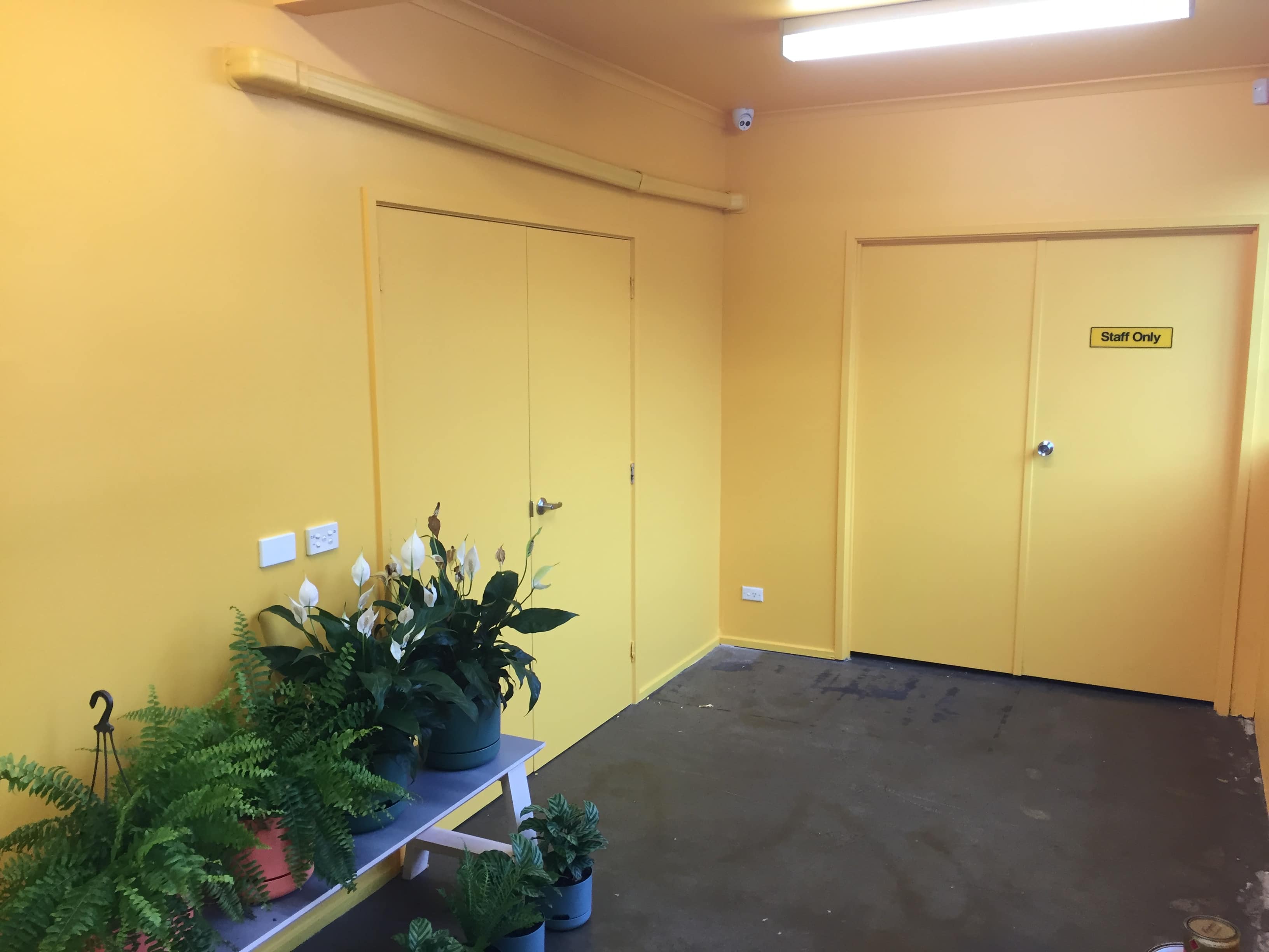 Yellow Office Wall