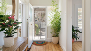Painter in Ascot Vale 3032