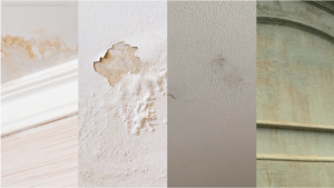 best commercial painting service near me