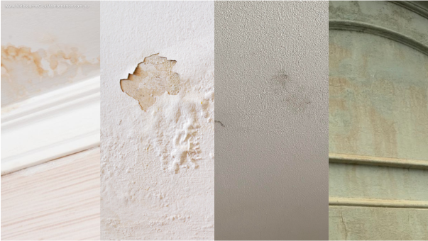 best commercial painting service near me