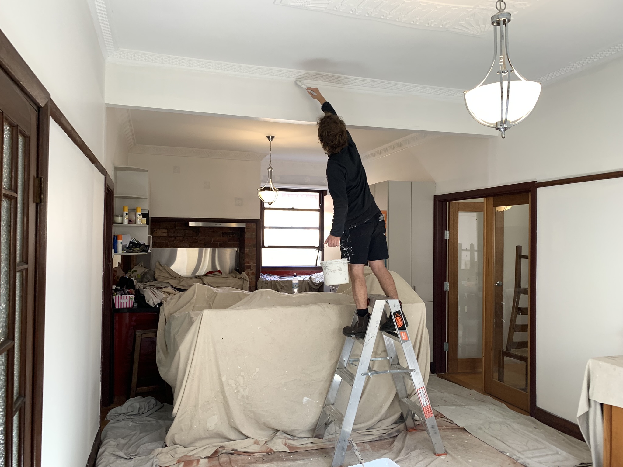 Painter on ladder hand-cutting elaborate cornice in a heritage Brunswick home — pressed tin ceiling and timber windows